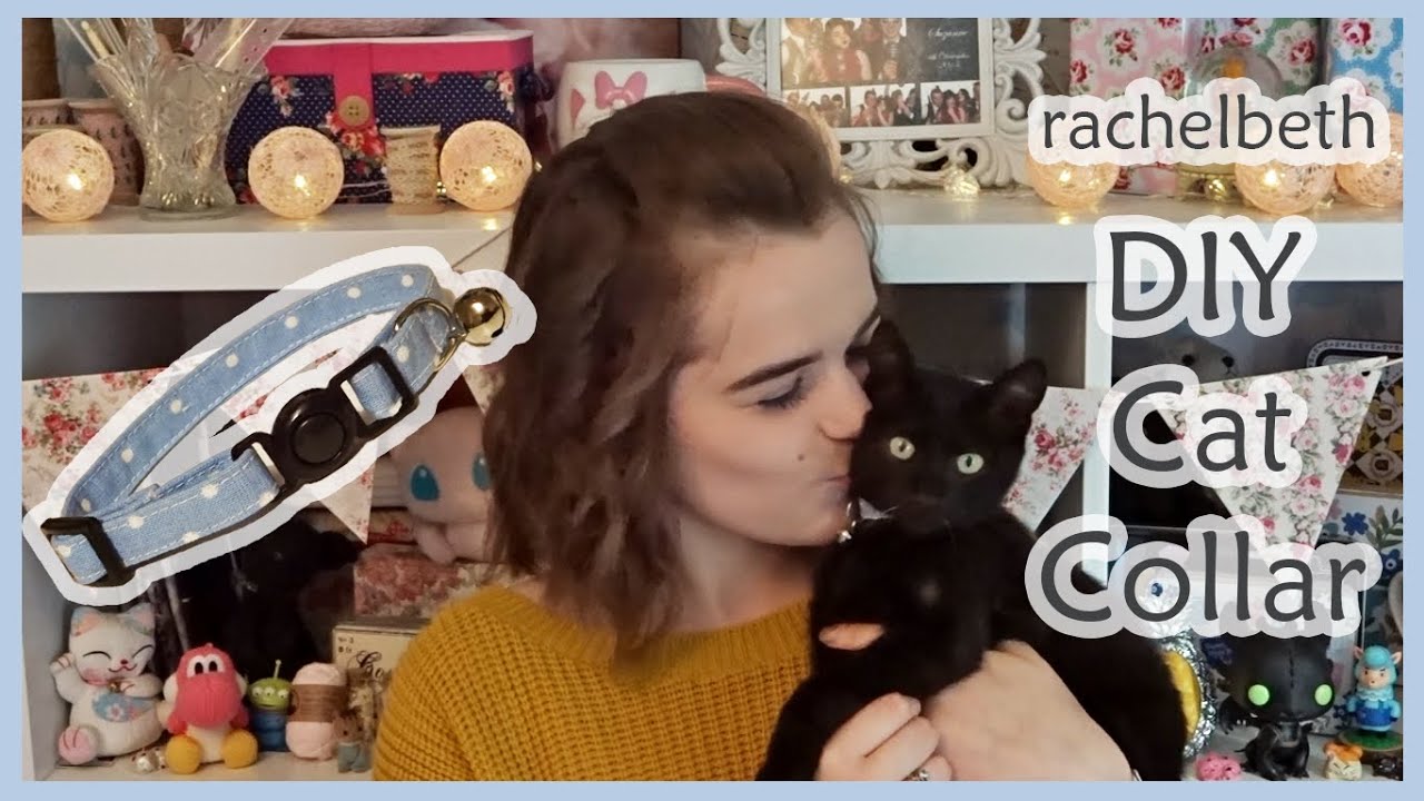 DIY Cat Collar