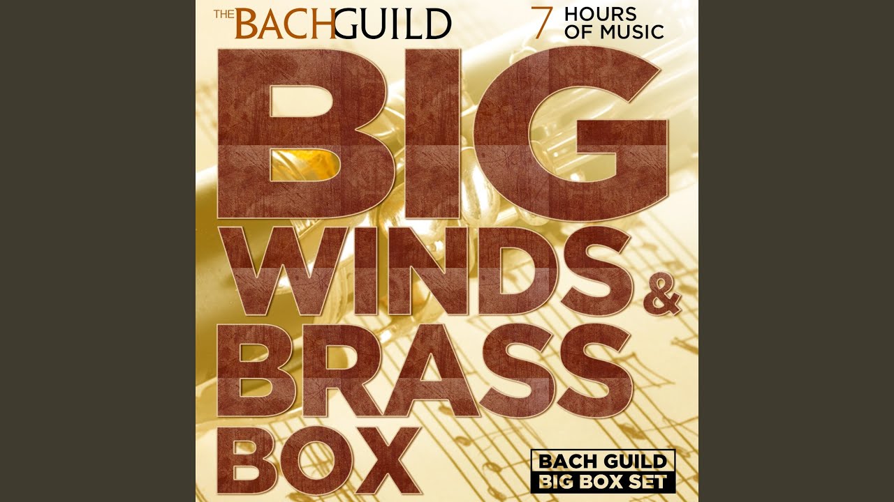 Vivaldi: Concerto in G Minor, “La Notte" for Flute, Bassoon, Strings and Harpsichord: II....