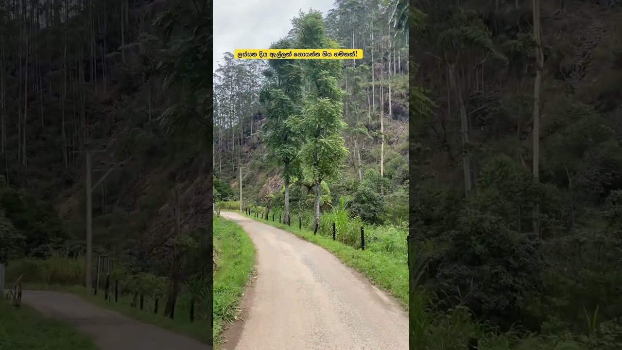 ලස්සන දිය ඇල්ලක් හොයන්න ගිය ගමනක් #nature #nuwaraeliya #travel #bikelover