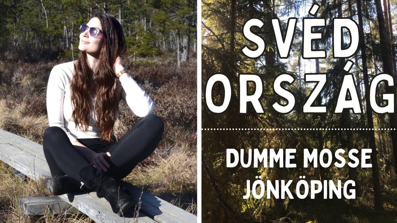 EGY NAPOM SV&Eacute;DORSZ&Aacute;GBAN DI&Aacute;KK&Eacute;NT | J&ouml;nk&ouml;ping