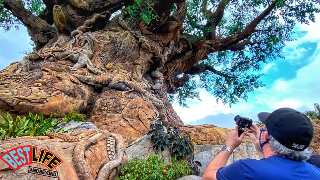 A Ride on the Wildlife Express Train to Conservation Station+ Tree of Life Garden & Discovery Trail!