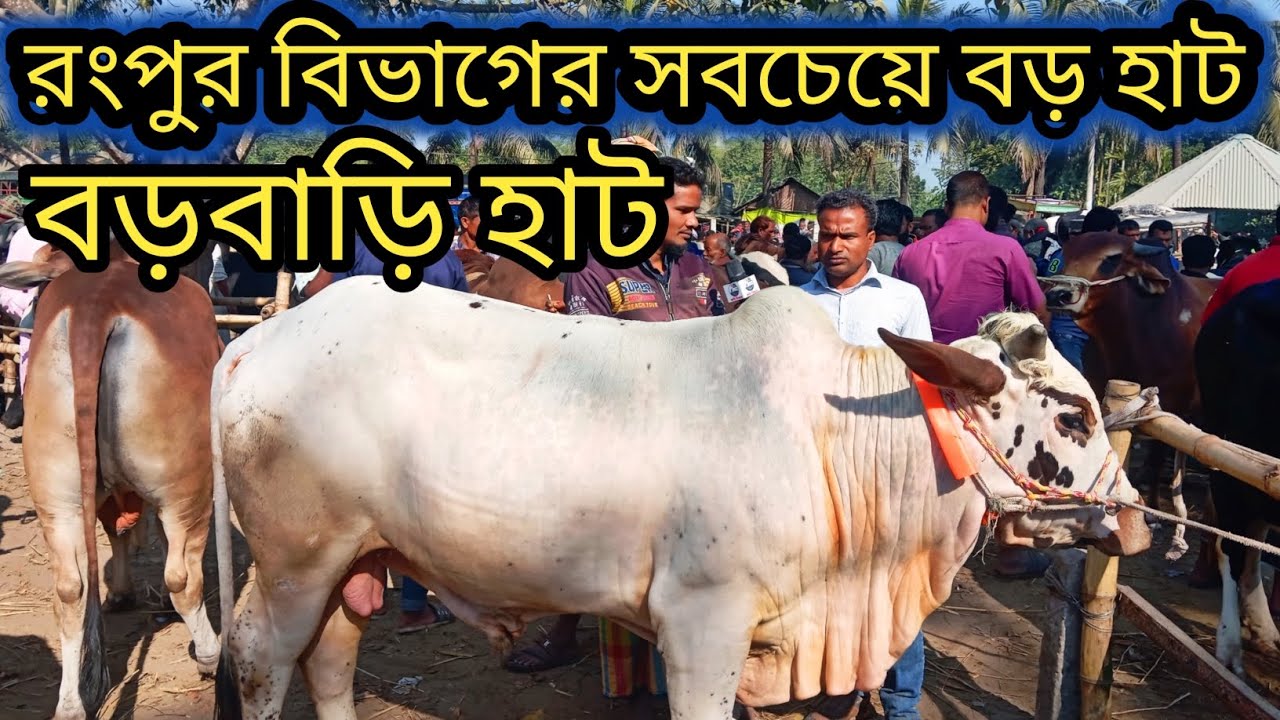 @১৭/১২/২৫