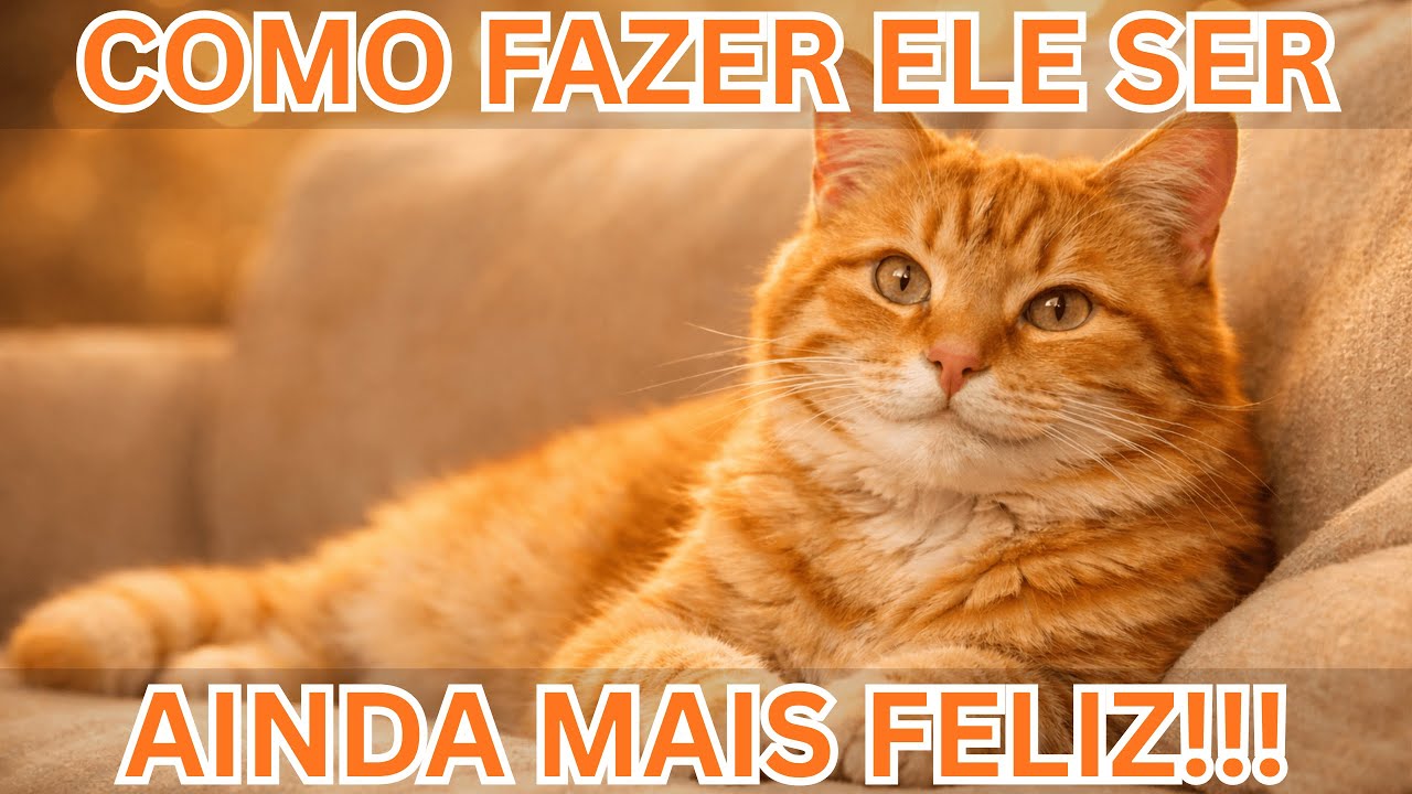 Como Deixar o Seu Gato MUITO Mais Feliz! #pets #gatos #cats #felinos #curiosidades