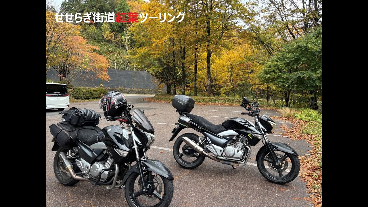 20251101 せせらぎ街道 雨の紅葉