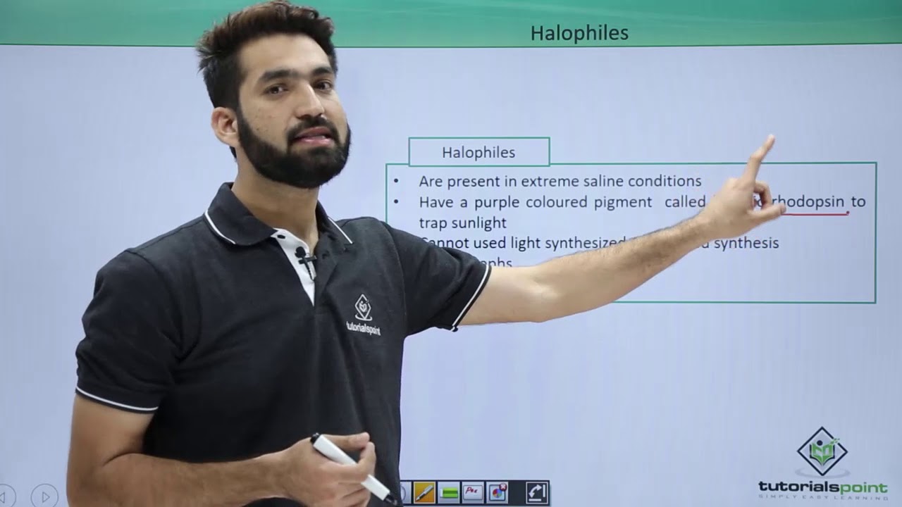 Class 11th &ndash; Archaebacteria &ndash; Helophiles | Biological Classification | Tutorials Point