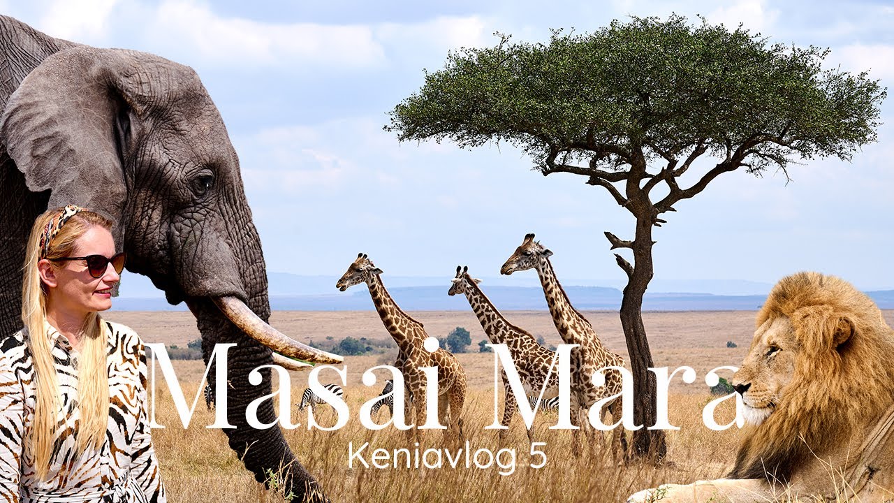 Ein unvergessliches Erlebnis: 3 Tage Safari, das erwartet dich in der MASAI MARA | Keniareise Pt. 5