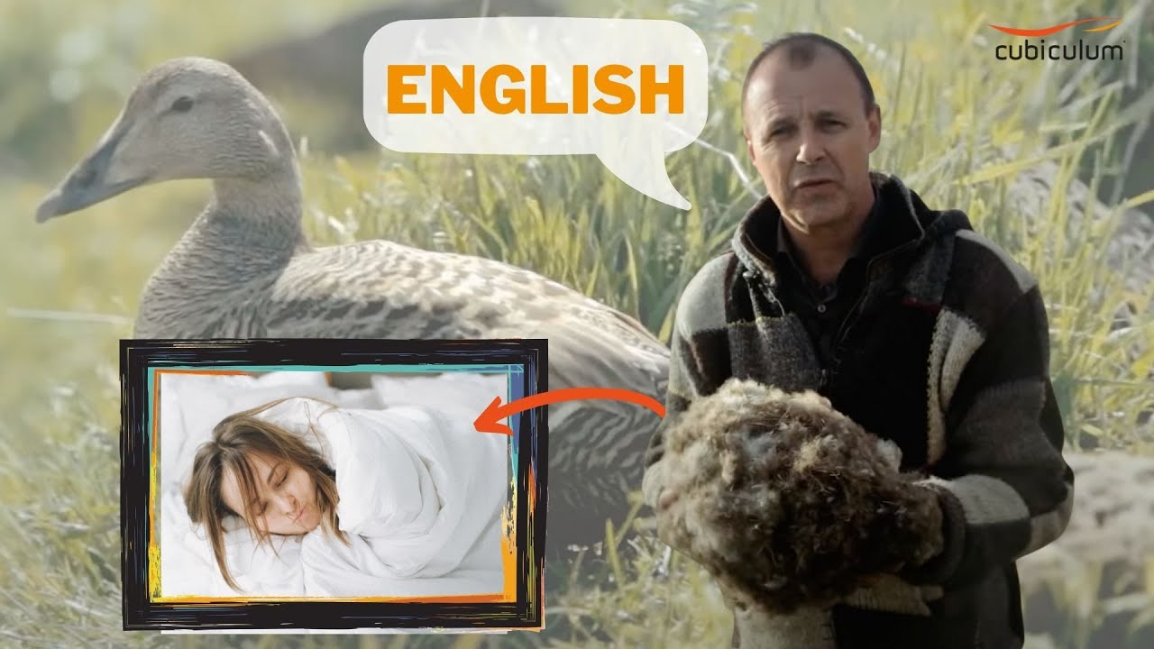 Eiderdown duvets - from the rough nature of island straight into your bedroom