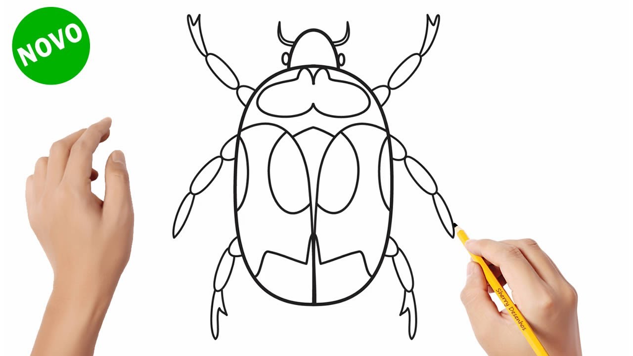 Como desenhar um inseto