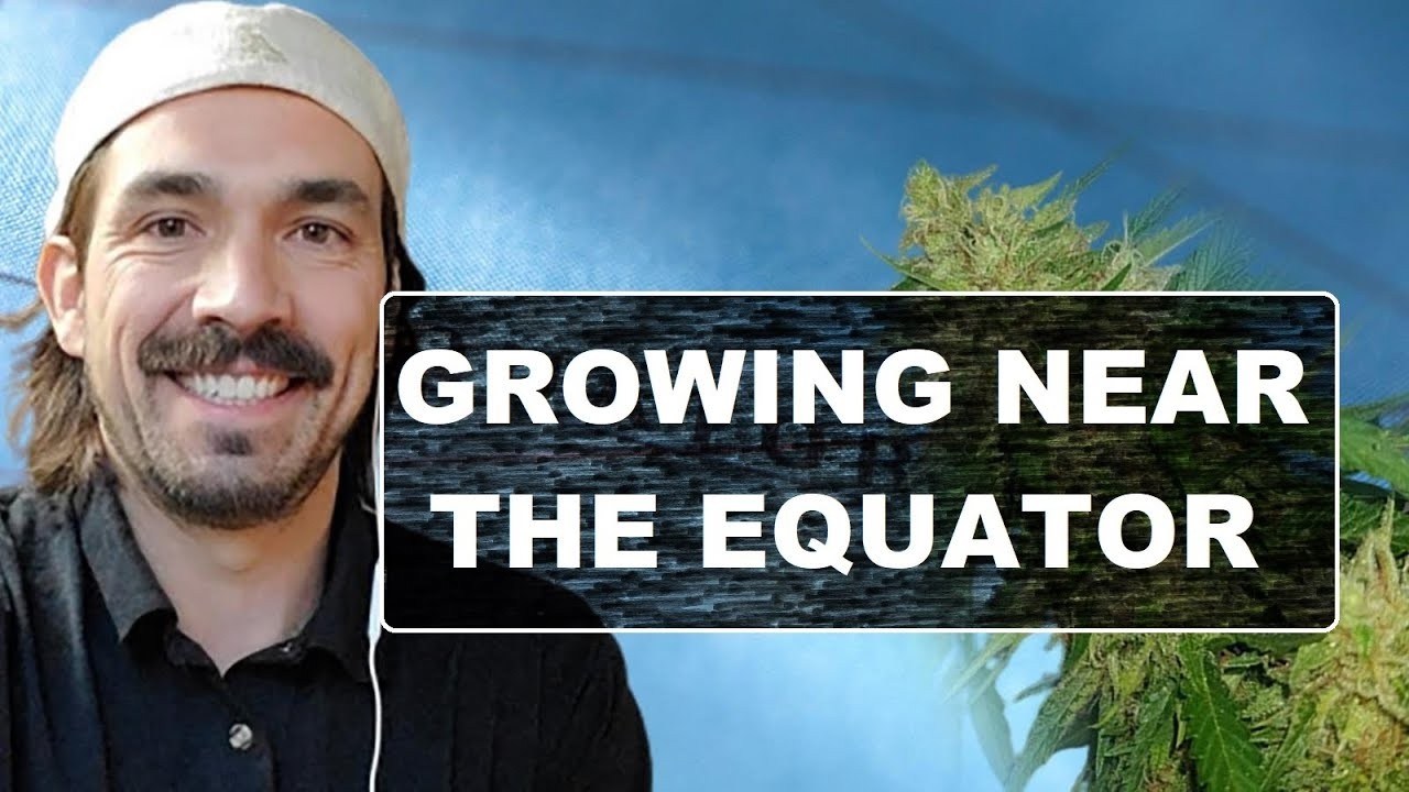 Grow Cannabis Outdoors Year Round Near The Equator