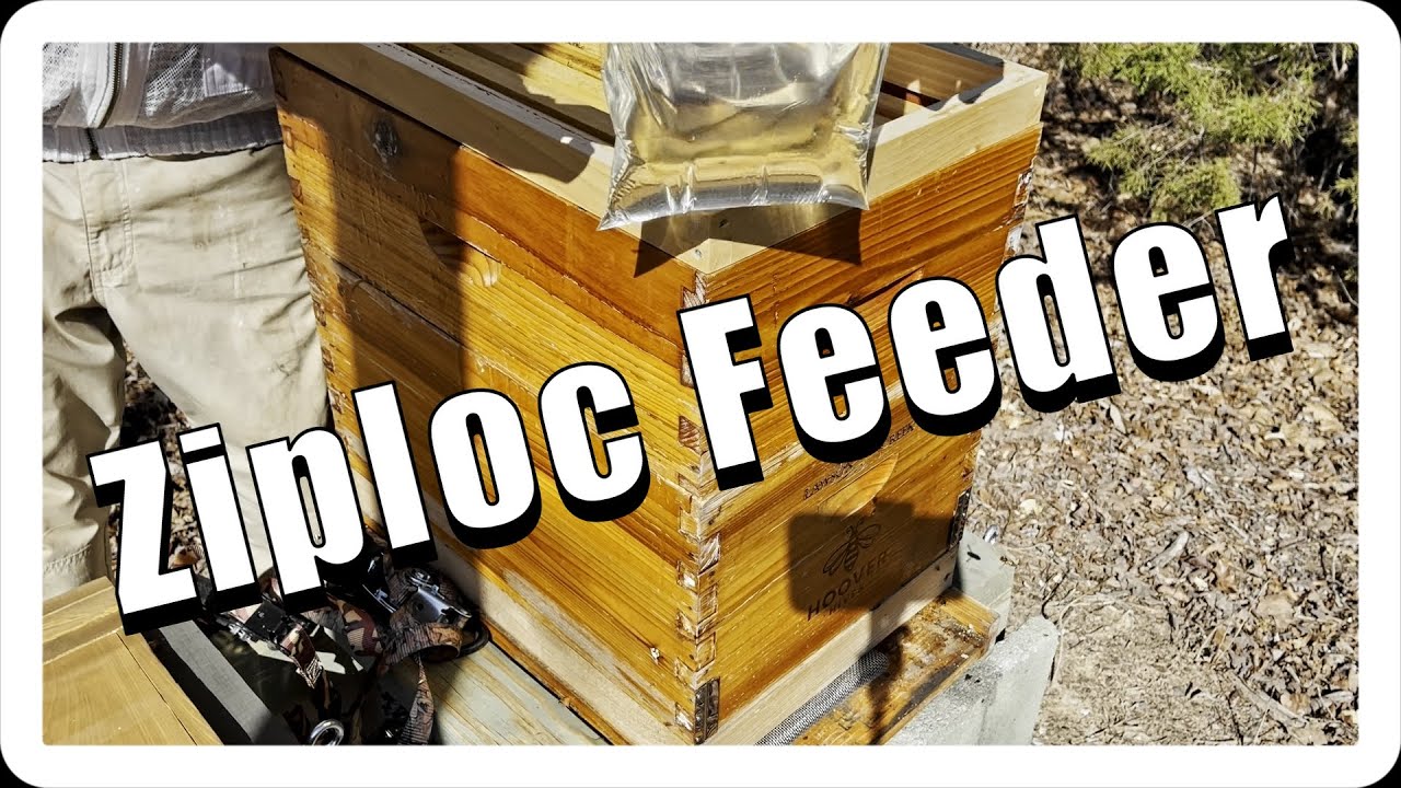 Ziploc Syrup Feeder: An Alternative Method of Feeding!
