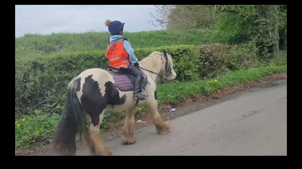 FIRST HACK ON DOLLY! || full video is uploaded! 