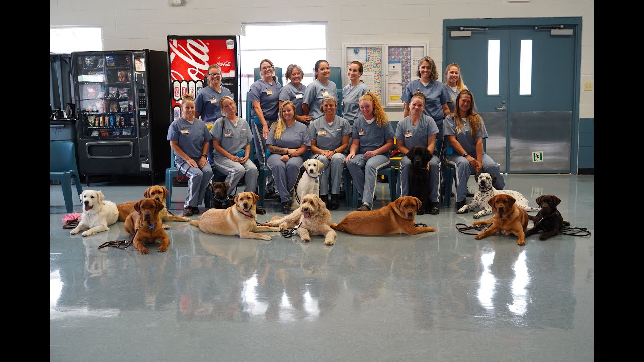 Patriot Service Dogs: A Second Chance For Veterans and Incarcerated Women