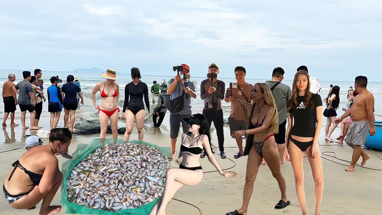 Đánh Bắc Cá Gần Bờ Trúng Mưc Lá 500k/ 1ký