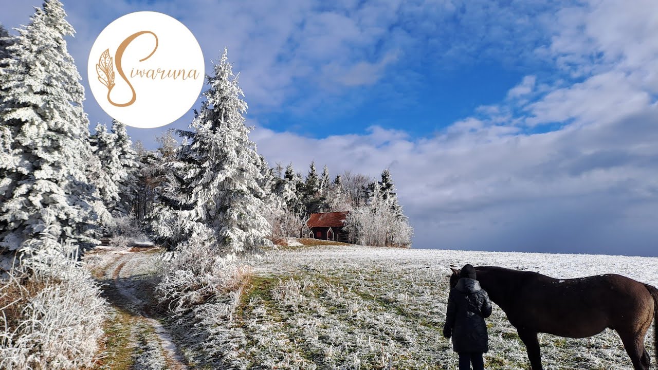 Folge 20 - Winterzauber in Hochneukirchen - Niederösterreich