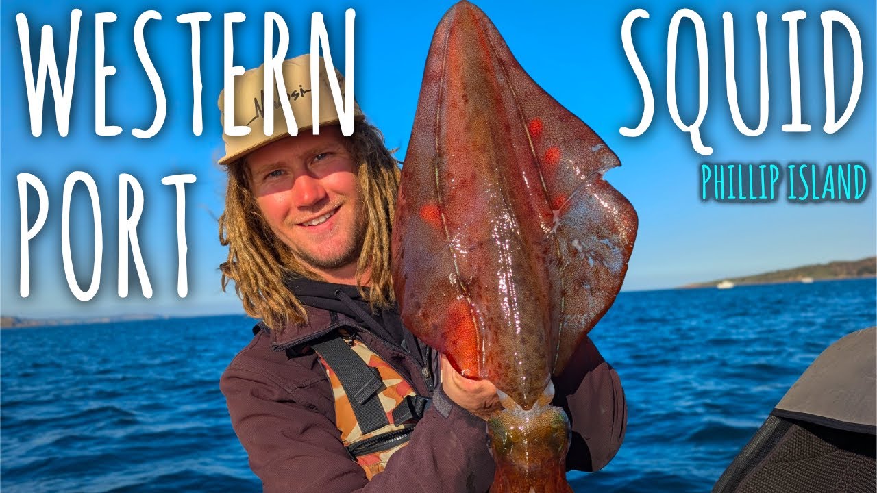 Squid Honey Hole - Westernport Bay