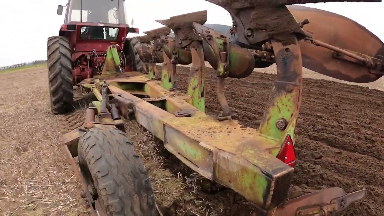 1983 International 956XL 4WD 5.9 Litre 6-Cyl Diesel Tractor (95 HP) North Notts Ploughing Match 2026