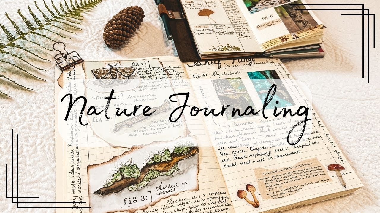 Nature Journal with me 🌿|Going on a hike with my journal