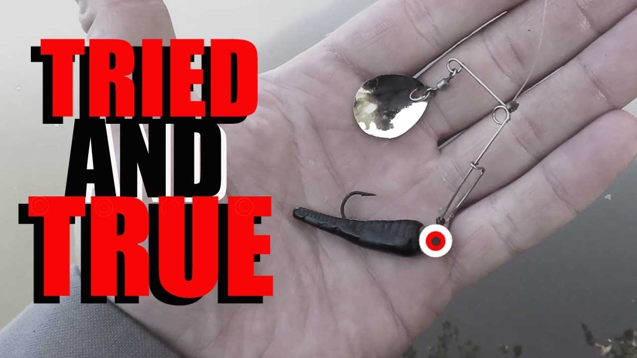 Beetle Spin Catch and Cook