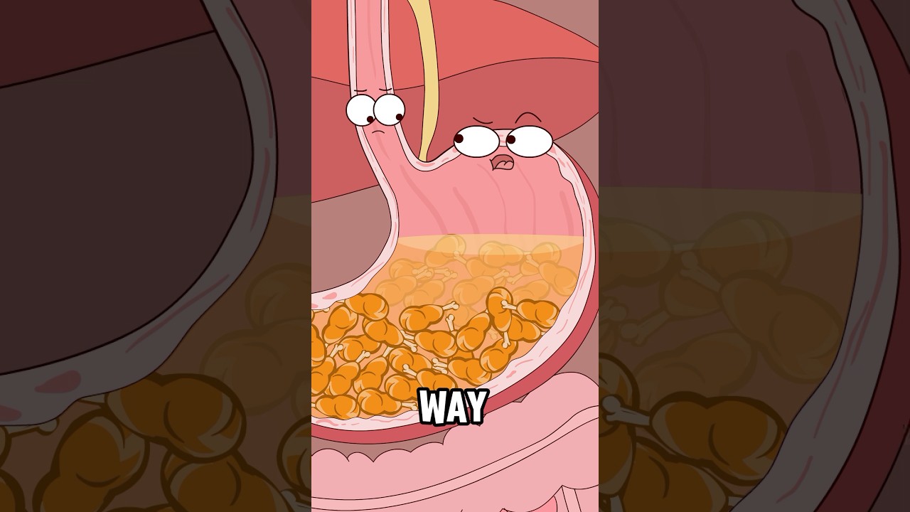 Why does eating too much lead to esophageal cancer?#animation #funny #shorts