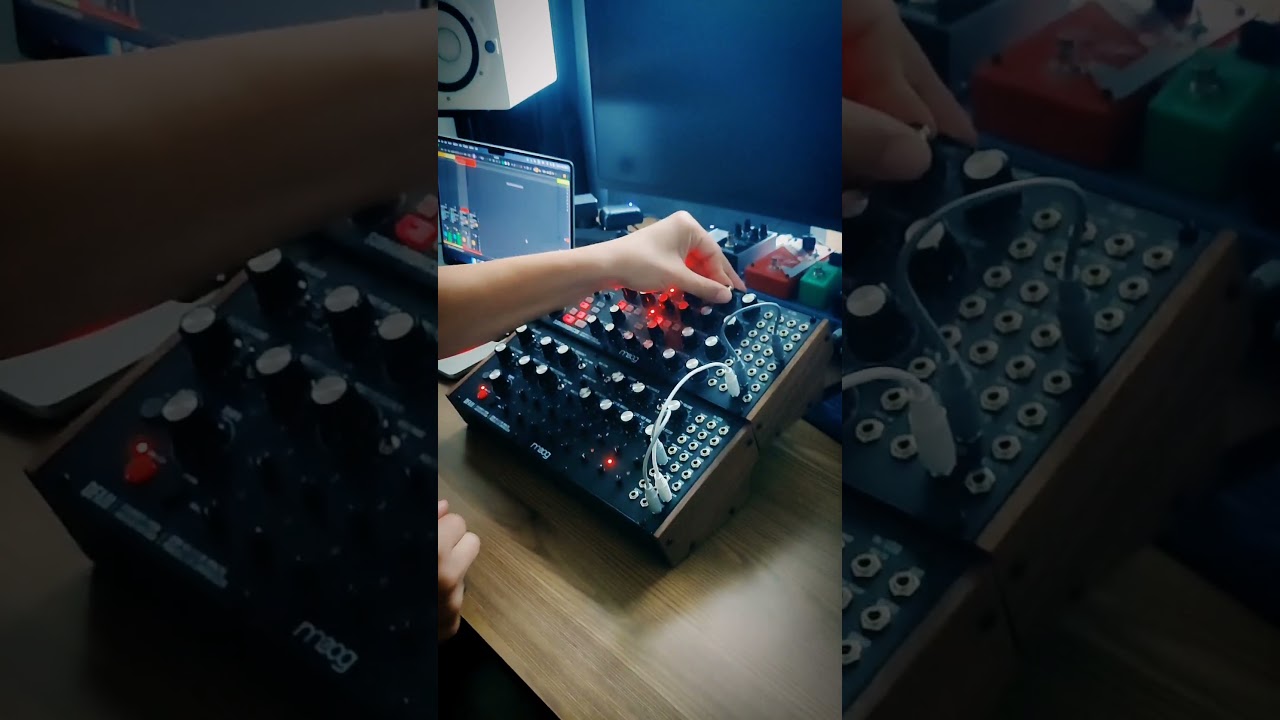 Moog DFAM x Subharmonicon