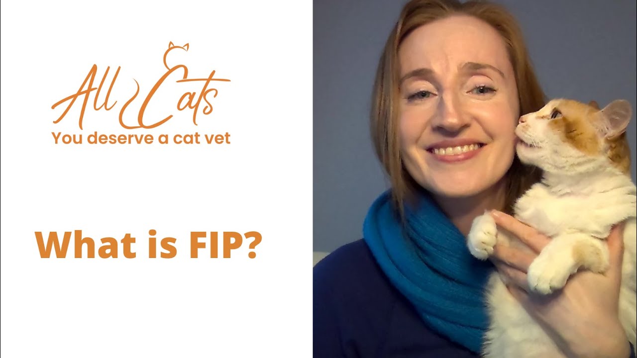 What is FIP?