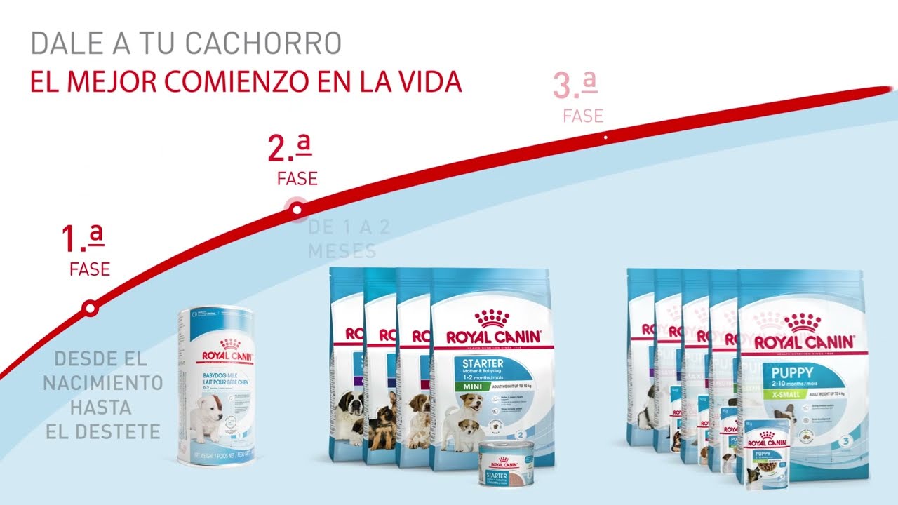 Royal Canin Mini Starter Mother & Babydog