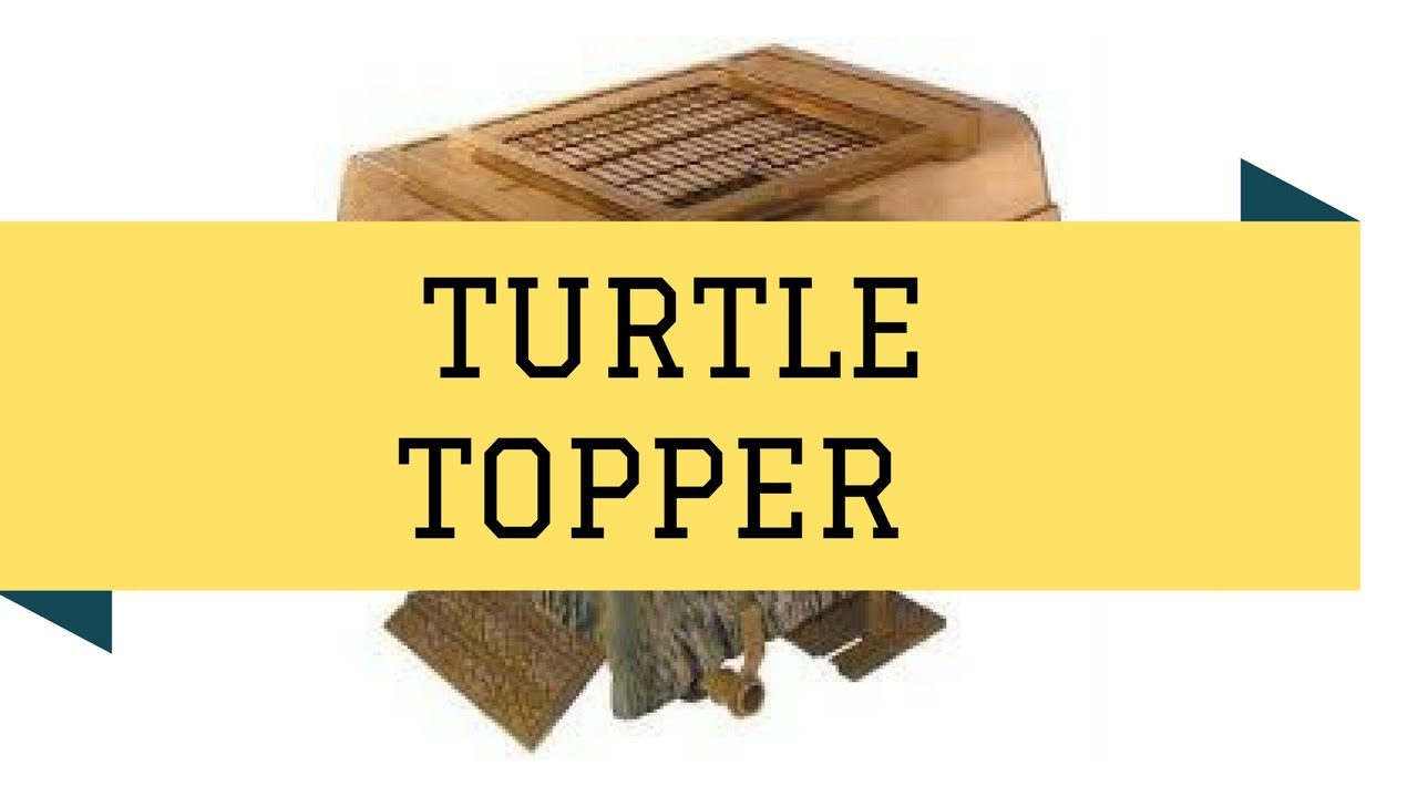 Turtle Topper