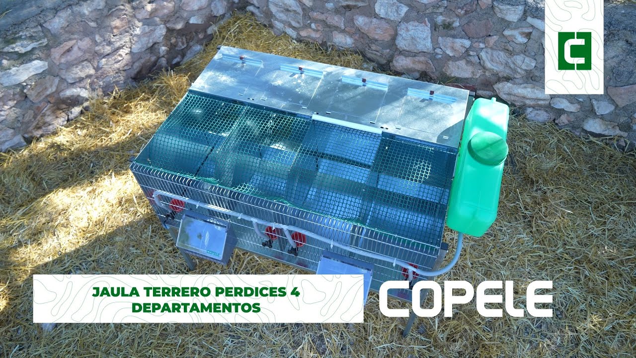 Jaula Terrero para Perdices de 4 Departamentos | COPELE