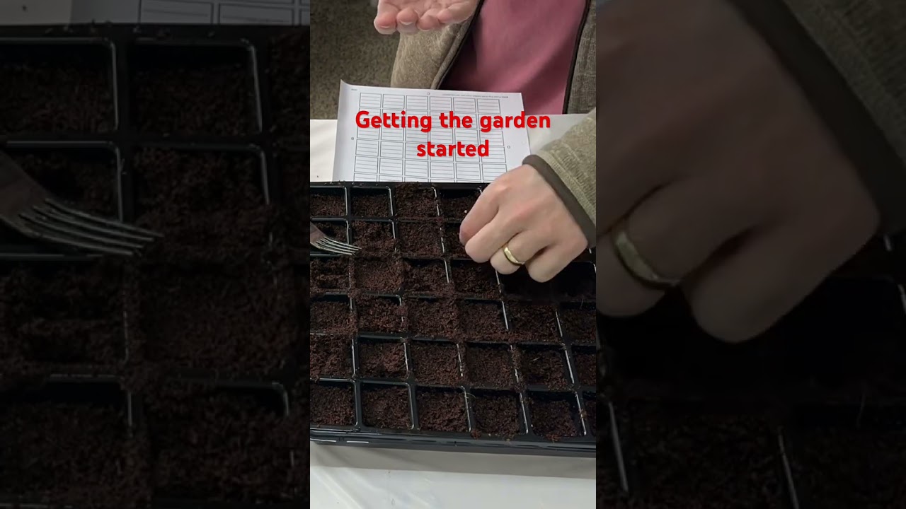 Getting my 2026 backyard garden started!