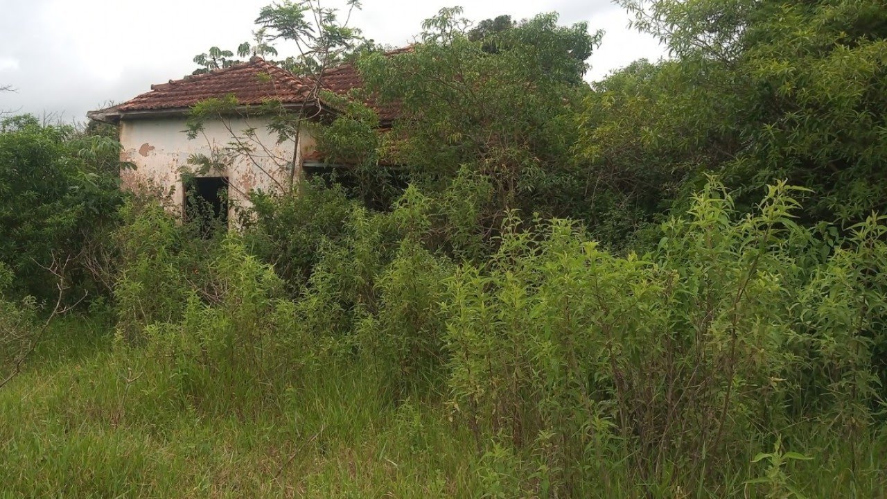 Mãe Perdeu o Filho e quando cheguei Na Casa Vi os Ossos, Mas Fiquei Perdido na Mata com Risco Cobra