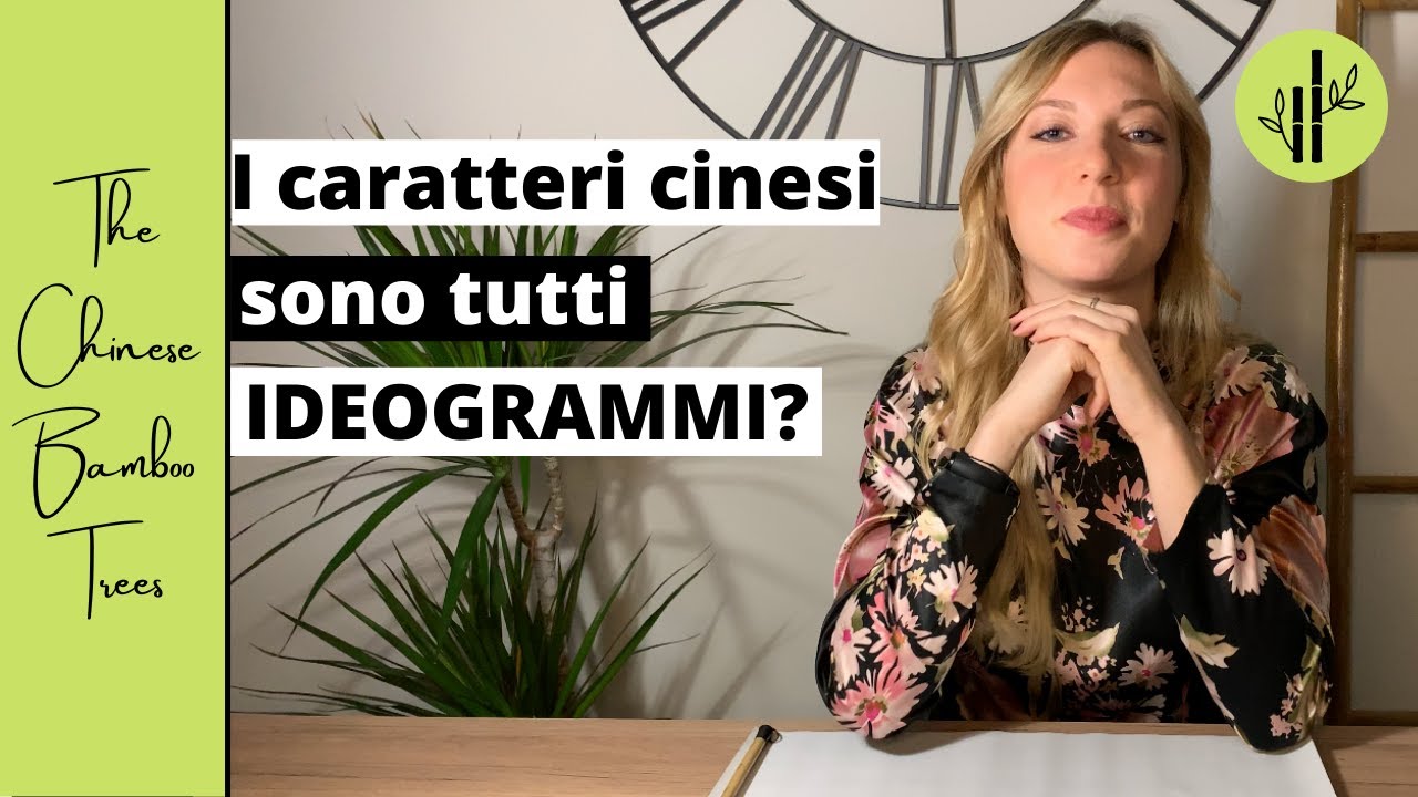 I caratteri cinesi sono tutti IDEOGRAMMI? | Imparare il cinese | Lingua Cinese