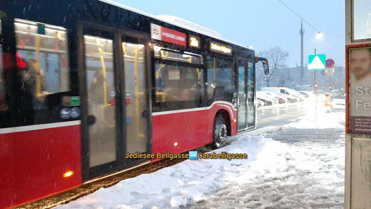 Wiener Linien Linie 36A 🚍 #017 Jedlesee Bellgasse➡️Carabelligasse