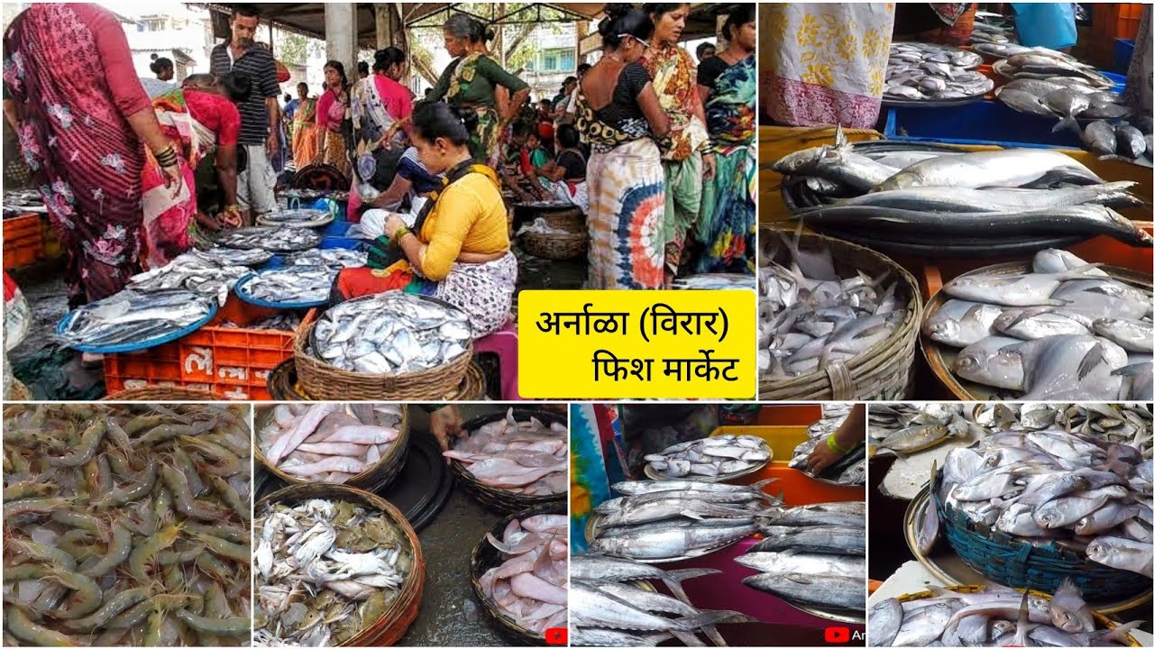 अर्नाळा - विरार मासळी बाजार | ARNALA - VIRAR WHOLESALE FISH MARKET | ARNALA FISH MARKET