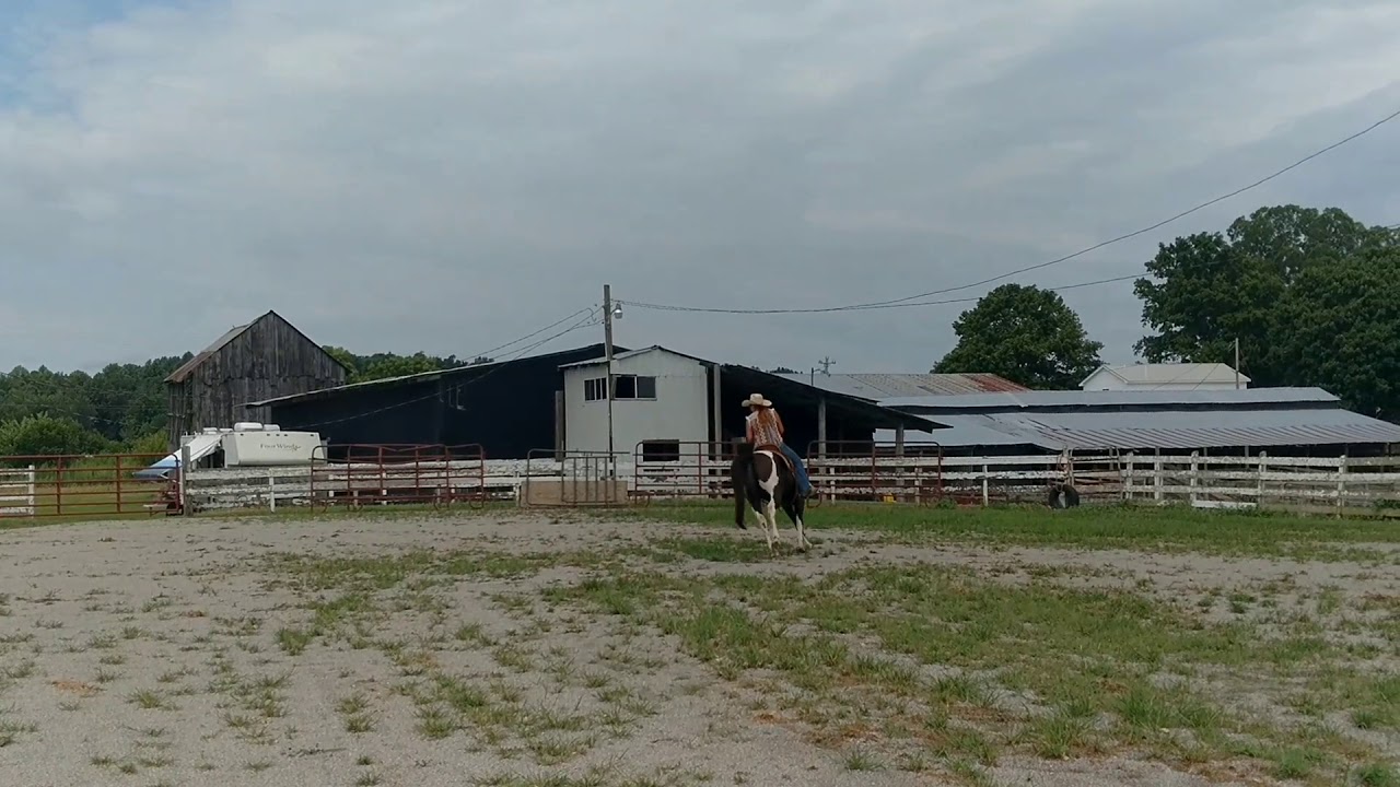VID 20180808 140609278 HDR~2