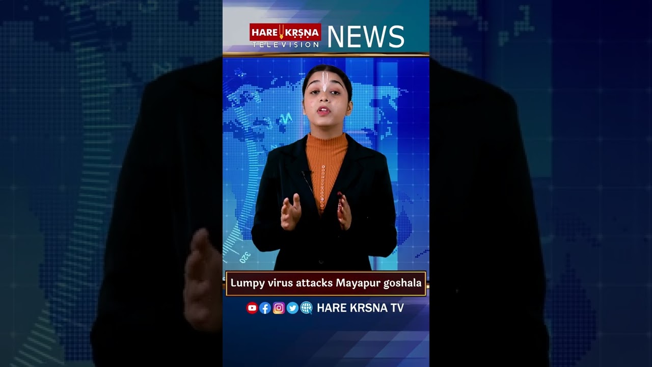 Lumpy virus attacks Mayapur goshala  | 28th Sep 22 | HKTV NEWS #shorts