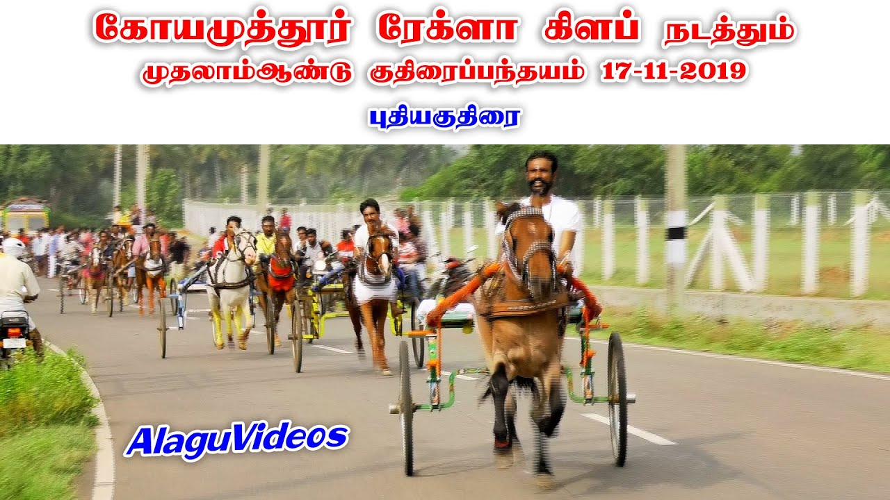 புதியகுதிரை | கோயம்புத்தூர் குதிரைப்பந்தயம் 17-11-2019 | Covai Horse Race