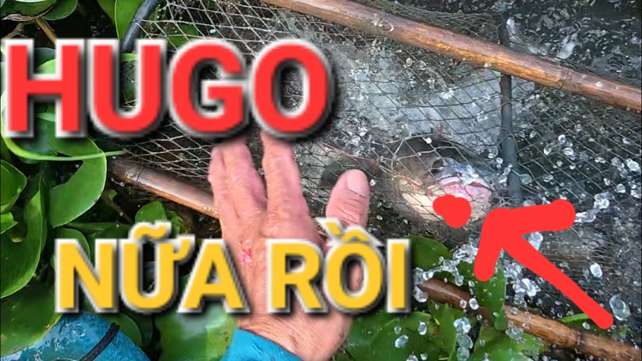 GOM LỜ CUỐI NĂM DÍNH TOÀN HÀNG KHỦNG QUÁ NHIỀU LUÔN