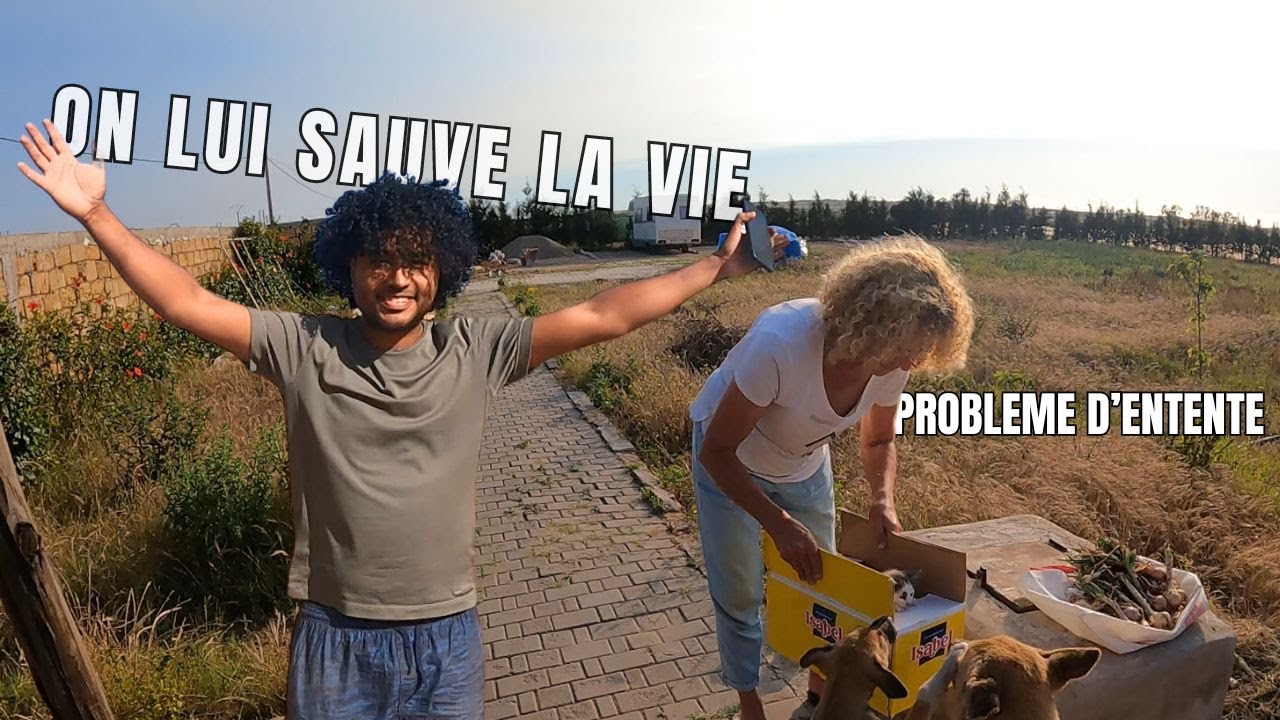 304-PROBLEME D'ENTENTE DANS LA FERME