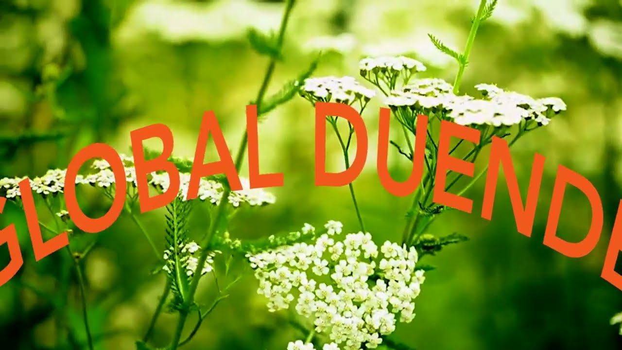 GLOBAL DUENDE full concert @ TLB le 8 juin 2025