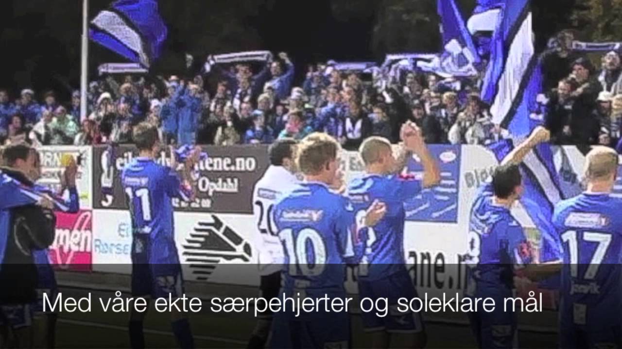 Ekte s&aelig;rpehjerter