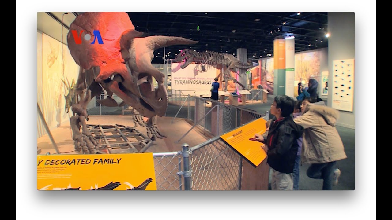 FULL EPISODE: On Assignment January 2 2015