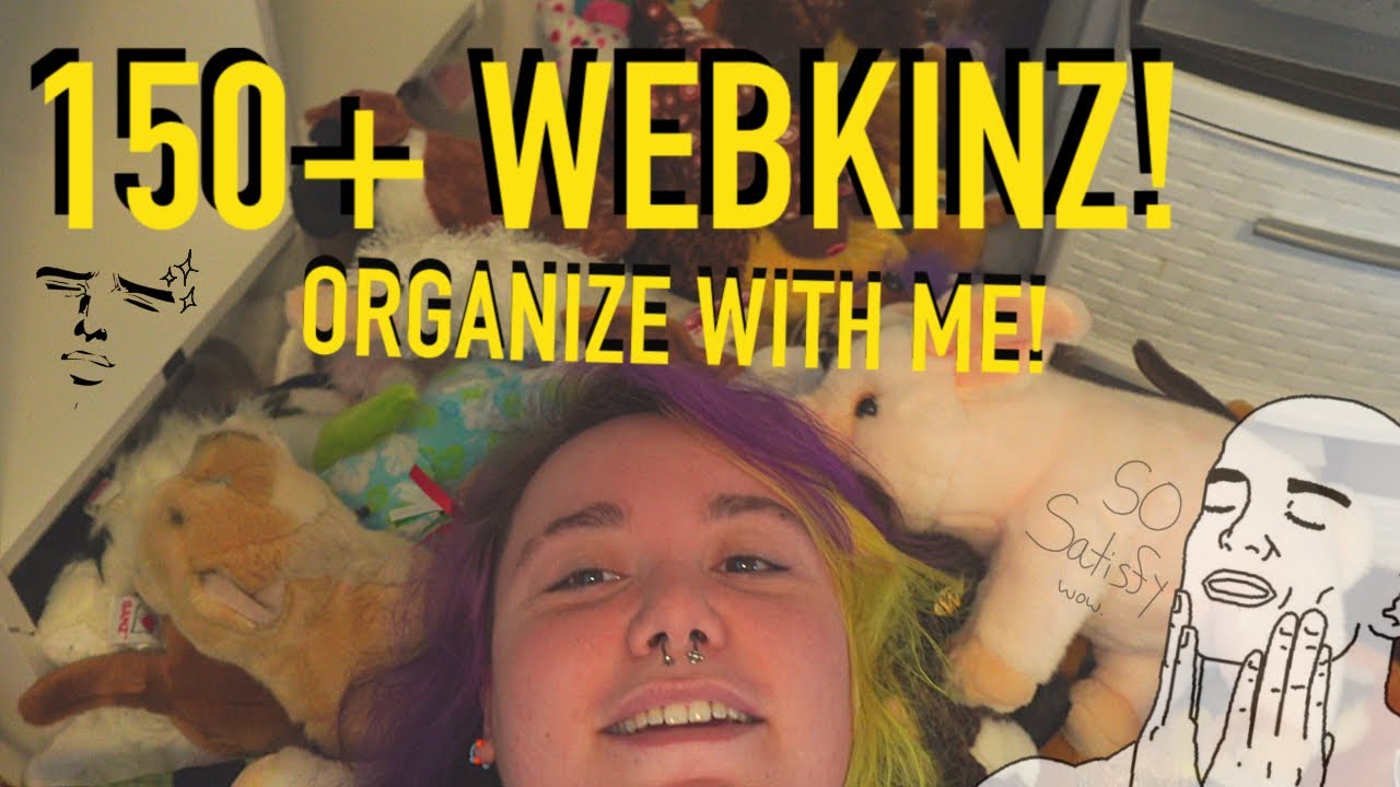 Organize 150+ Webkinz with me! | My Webkinz Collection 2023 |