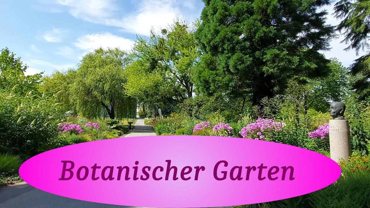 Botanischer Garten in Hamburg