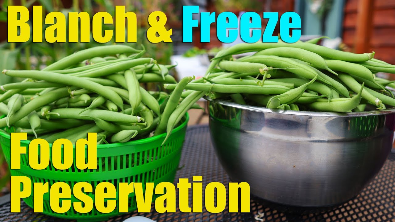 How To Freeze Your Harvest Properly | Near-Perfect Food Preservation!