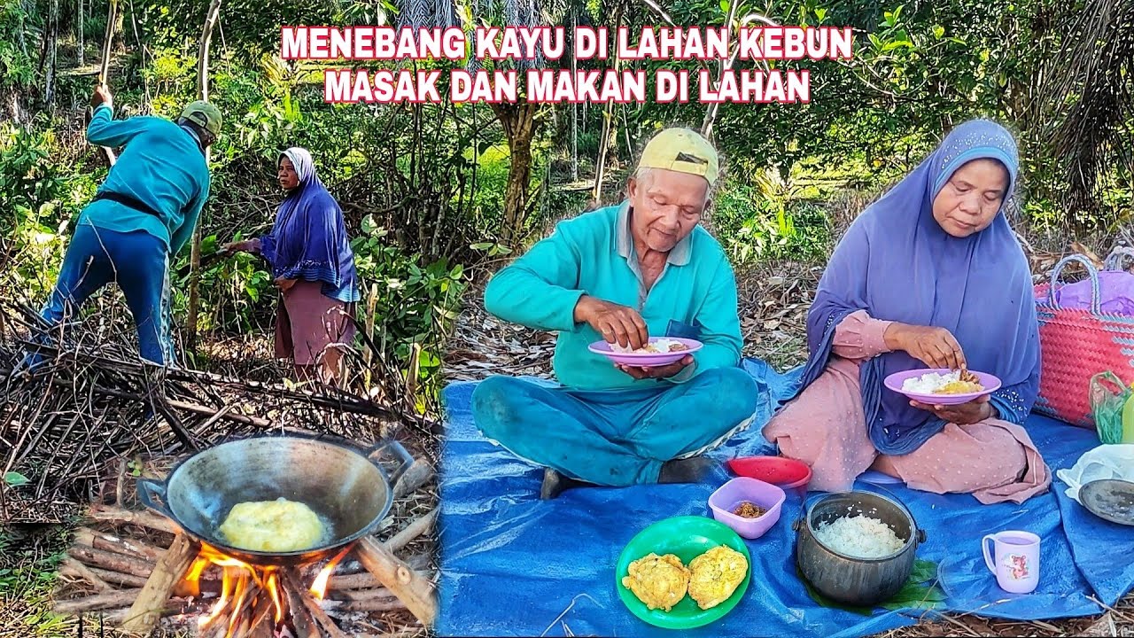 MENEBANG KAYU DI LAHAN KEBUN MASAK DAN MAKAN DI LAHAN.
