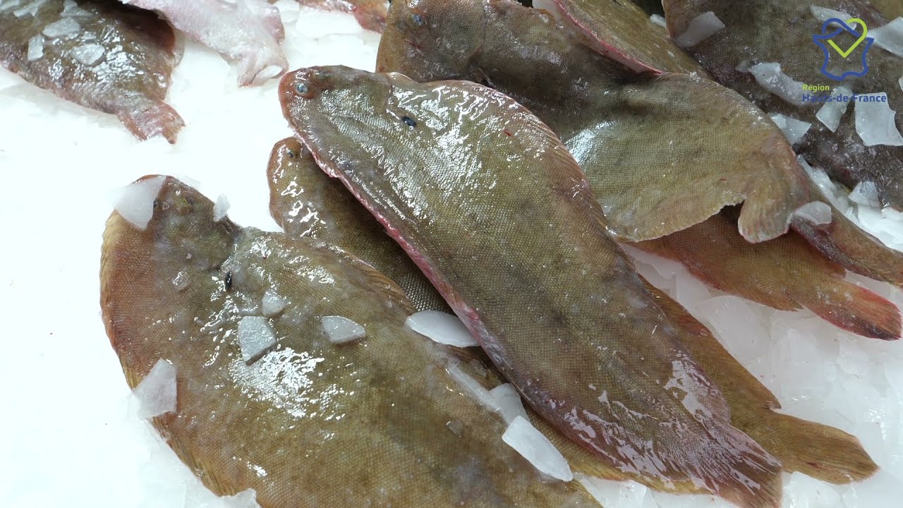 Le marché aux poissons de Boulogne-sur-mer - Le panier de Margaux