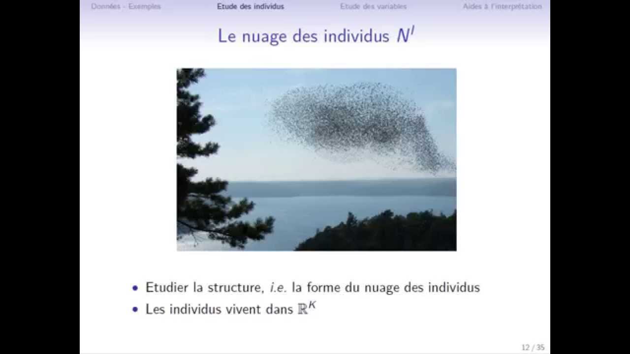 Cours d'ACP : représentation des individus et des variables (partie 2/3)