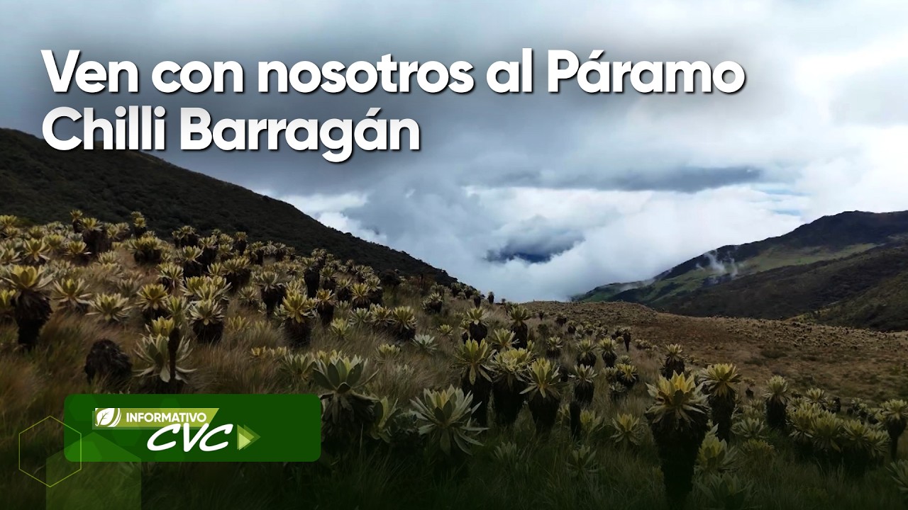 Ven con nosotros al páramo Chilli Barragán
