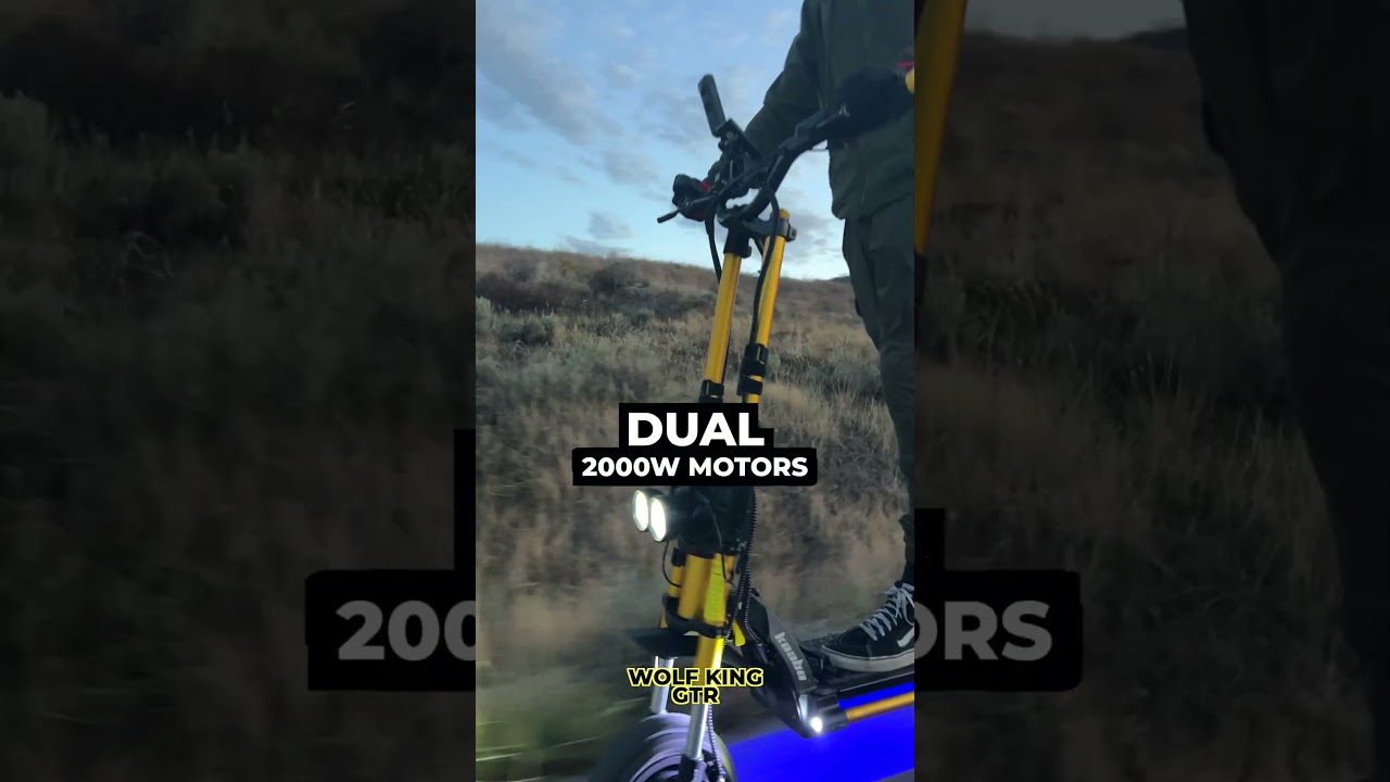 Which $4000 Super Scooter is BEST? Wolf King GTR vs INMOTION RS
