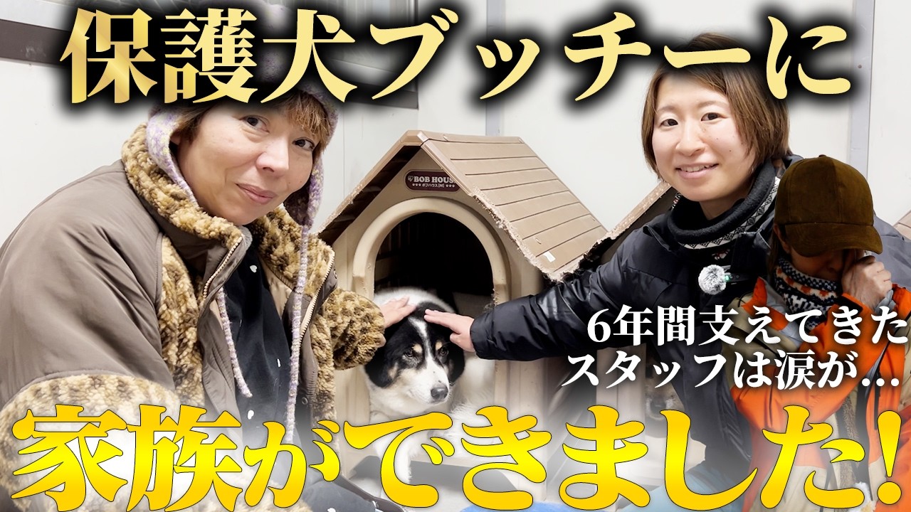 6年間迎え手がいなかった中型犬「ブッチー」に家族ができました!